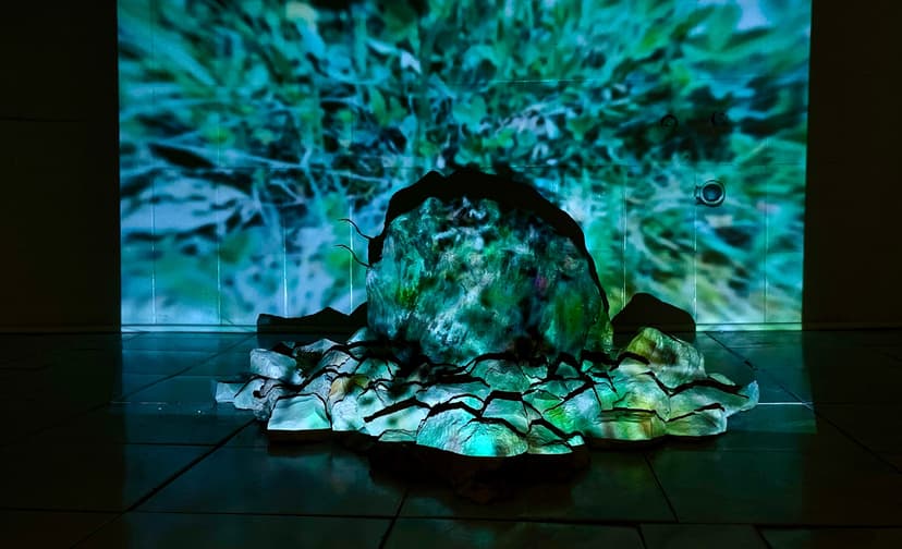 Çelişkiler, Olasılıklar ve Ütopyalar Arasında Kültür Sanat Projesi